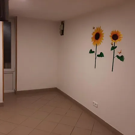 Apartman Vorosmarty Apartment *
